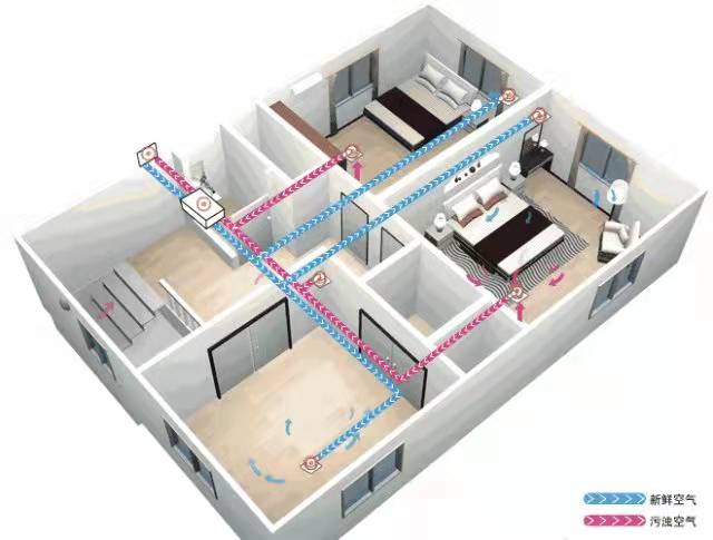 b2.jpg